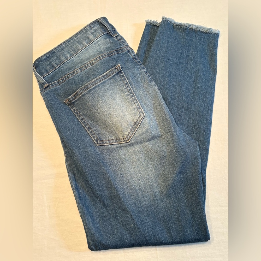 PISTOLA Jeans Medium Wash Blue Denim Skinny Women’s 29